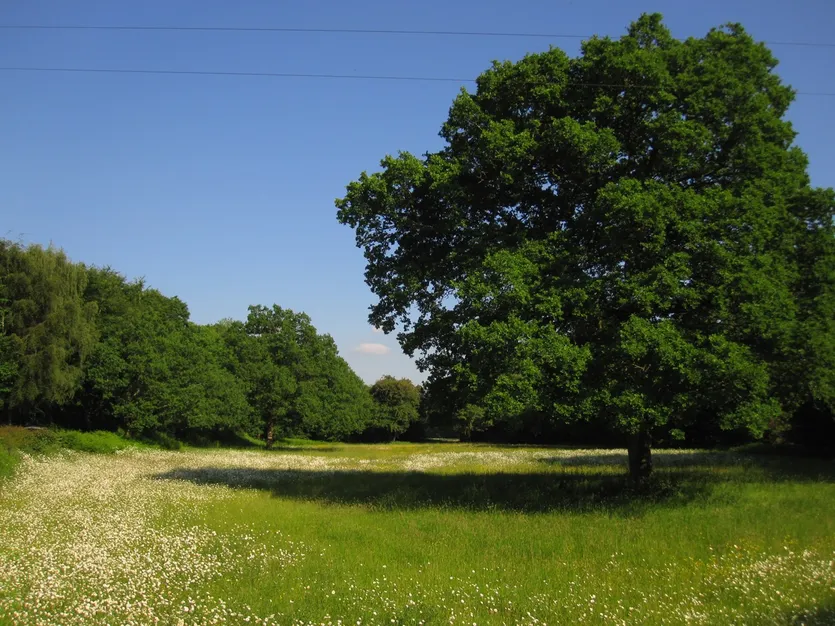 Građevinsko zemljište s pogledom na more — Vrsar – slika 4