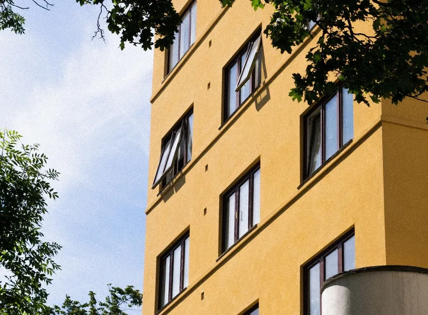 Mediteranska kuća s maslinama — Vodnjan – slika 3